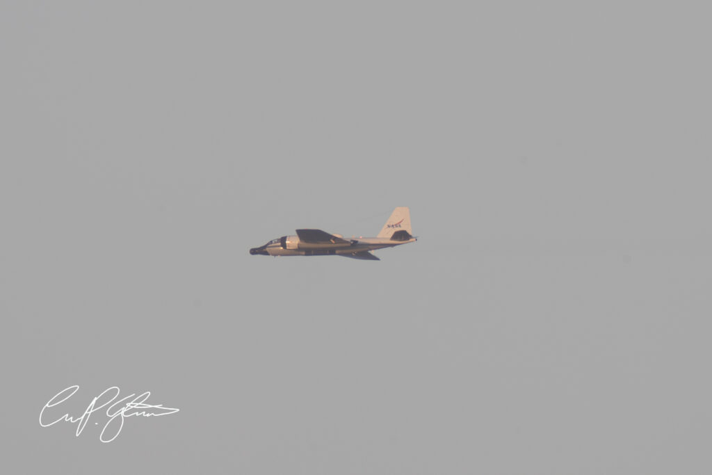 20260401 DSC01447