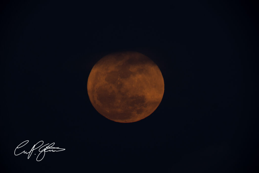 20260401 DSC01567