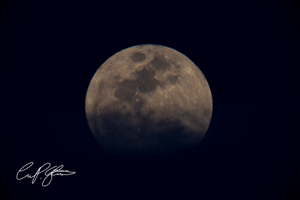 20260401 DSC01578